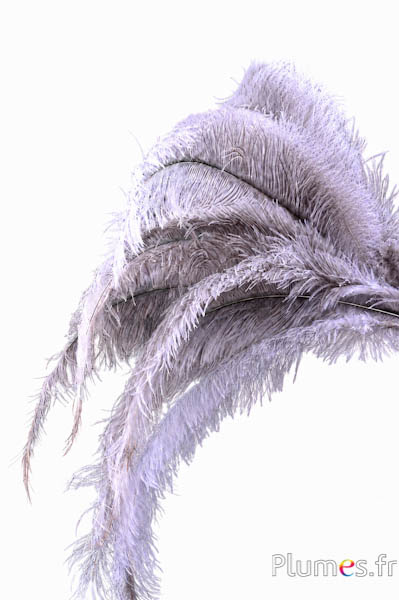 Strauss - 32-42 cm - hellgrau-weiß natur